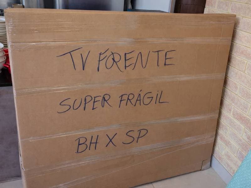 Colaboradores THC cuidando de mudança